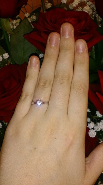 Proposta di matrimonio - 1