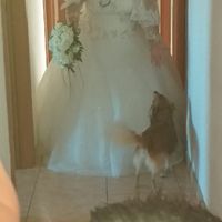 Finalmente Sposi❤ - 5