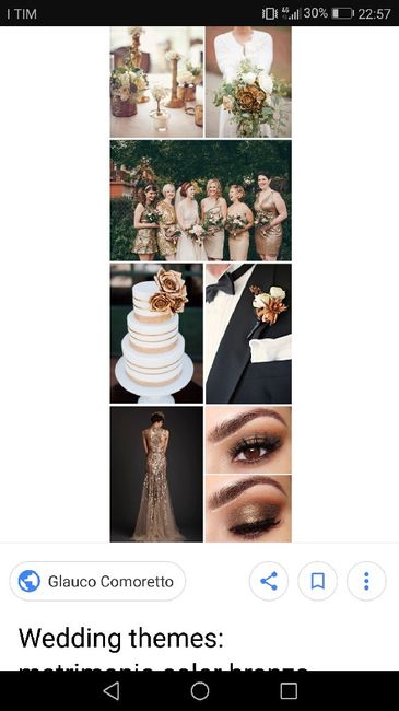 Papillon e cravatte - 4