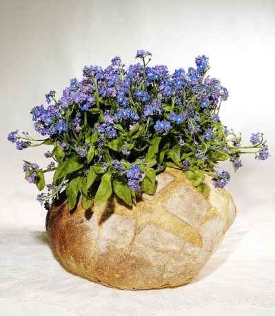 Fiori aiutoooo... scelta giusta o no? - 1