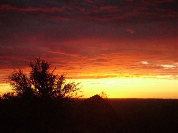 viaggio di nozze in africa 7