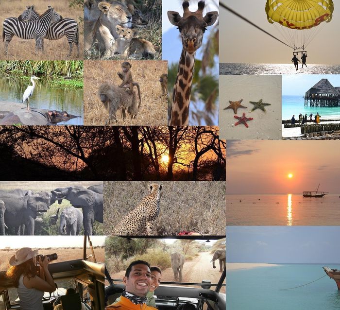 Collage Luna di Miele