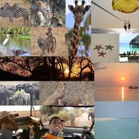 Collage Luna di Miele