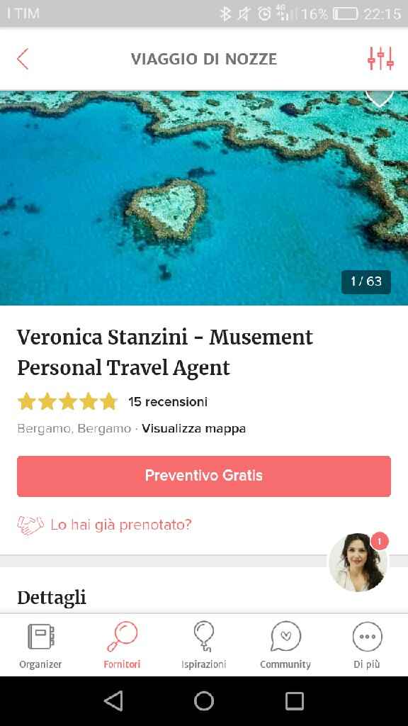 Viaggio di nozze, fai da te! - 1