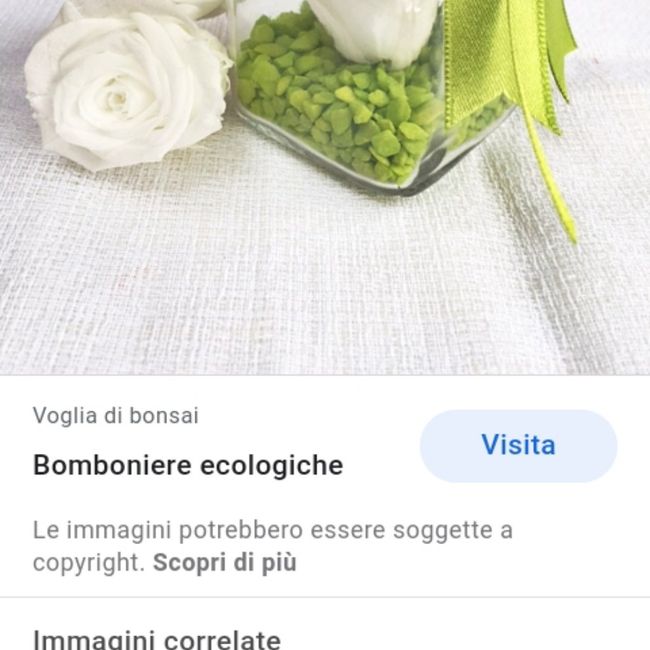 Segnaposto rose di sapone 8