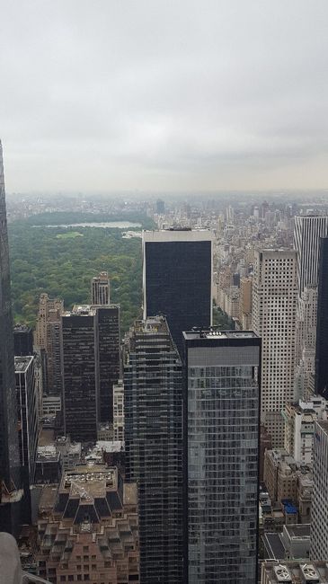 Crisi per il viaggio - 2