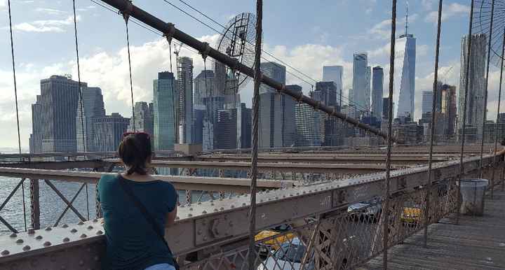 Crisi per il viaggio - 1