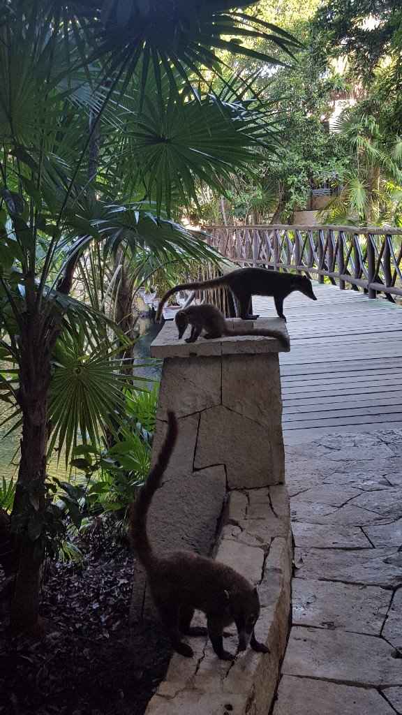 Chi di voi e' gia' volata o volera' in una di queste destinazioni?! ✈ - 4