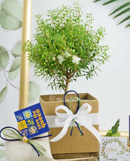 Ciao sposine ❤️ 6