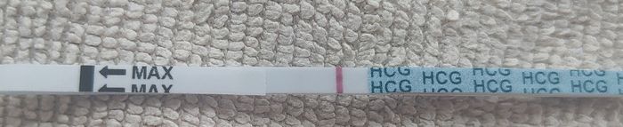 Chi non le aspetta per Novembre  2020 🍀❤️🍀❤️🍀❤️🍀❤️🍀❤️🍀❤️🍀 - 2