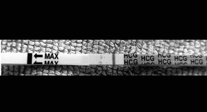 Test gravidanza 12 po - 2