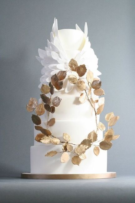 Quale torta preferite? 1