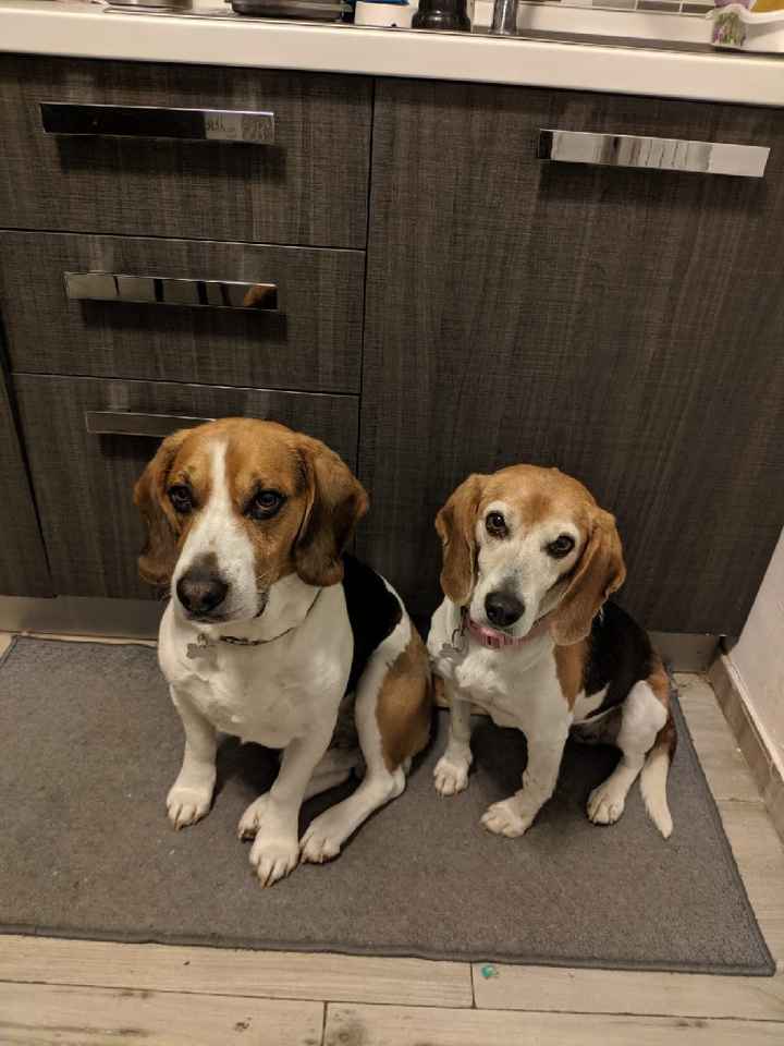 gioco per gli ospiti - 1