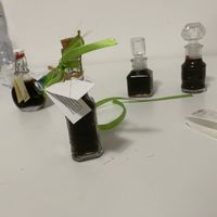 Segnaposti o bomboniere ? - 1