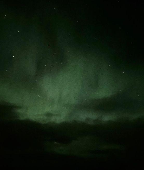 Proposta di matrimonio 💍✨ - 1