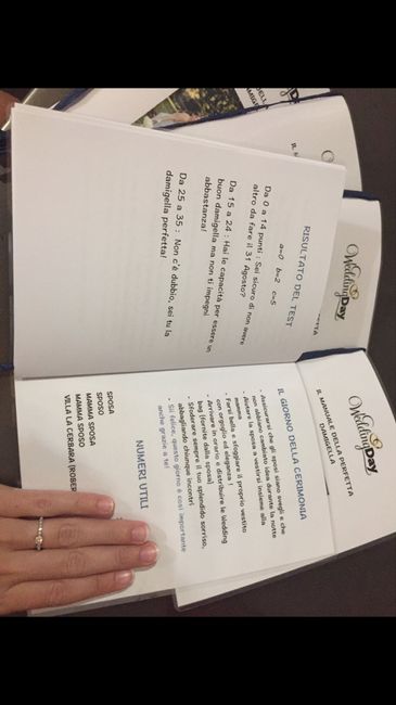 ☑️ Manuale della damigella perfetta! - 6