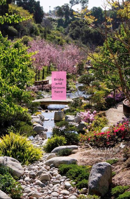 location dei sogni con budget illimitato - 1