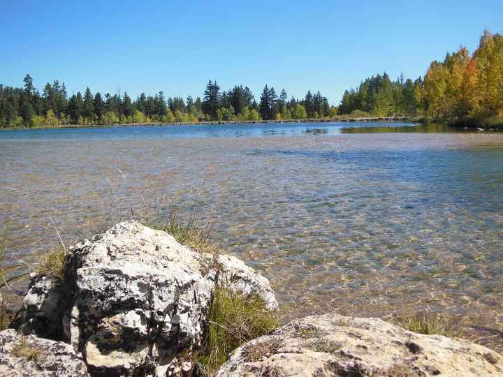 Lago 