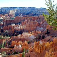 Bryce canyon
