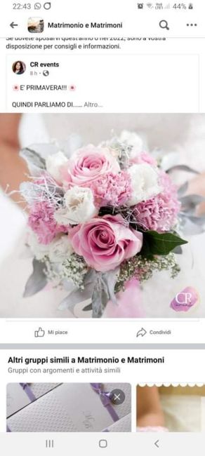 Scelta bouquet aiuto - 1