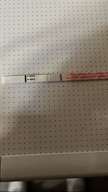 Chi non le aspetta per dicembre 2022 🤶🤶🤶 - 1