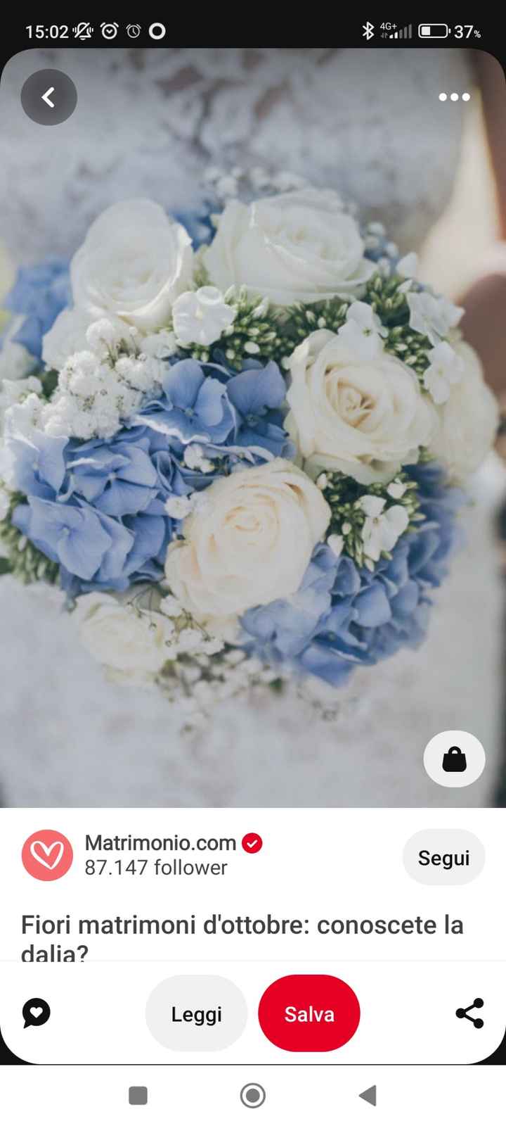 Bouquet - 1