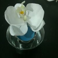 I miei segnaposti tema orchidea - 2