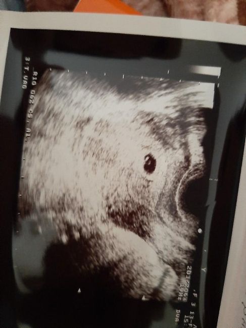 Metodo Ramzi! Chi ci sa azzeccare? - 1