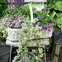 >fiori per matrimonio