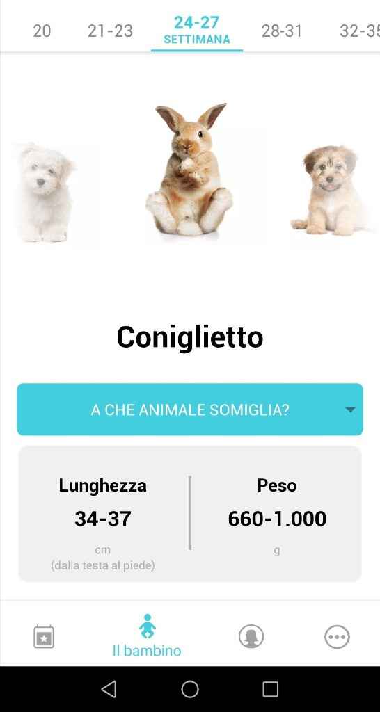 Mamme di Gennaio 2020 ❤️ - 1