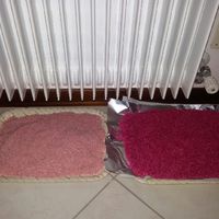 Riso colorato internet - 1