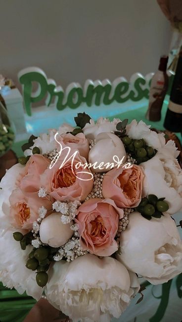 Promise 💚 - 1