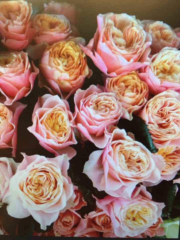 Help!addobbo floreale agosto,cosa avete scelto ? - 1