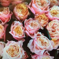 Help!addobbo floreale agosto,cosa avete scelto ? - 1