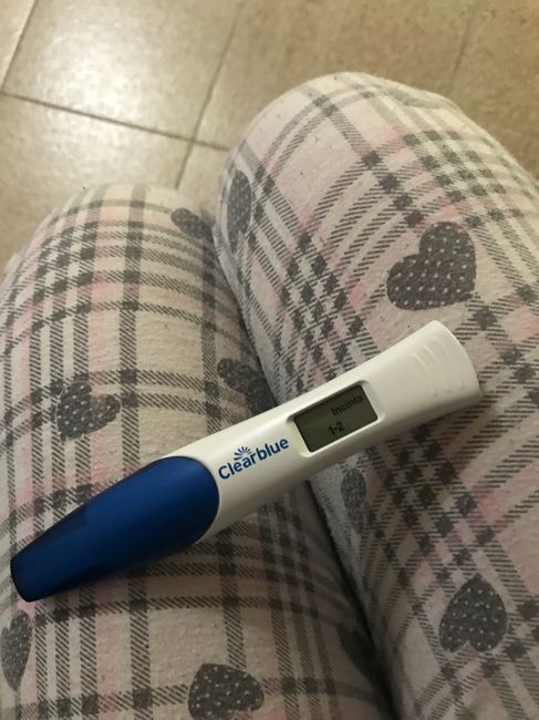 Sarà la volta buona? 1