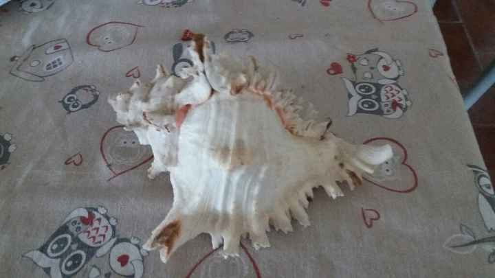 S o s. fai da te - 3