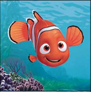 Tema mare e colore verde tiffany - 3