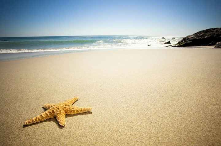 Tema mare e colore verde tiffany - 5