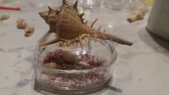  Bozza bomboniere - 1