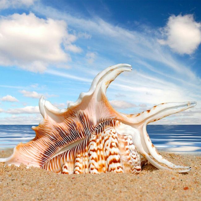 Tema mare e colore verde tiffany - 4