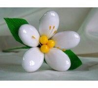  Tableau marriage e segnaposti - 1