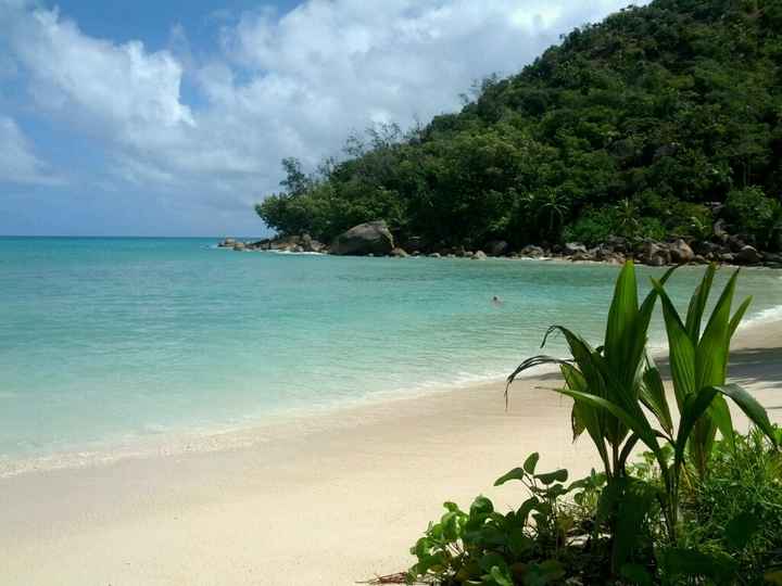 Seychelles da sogno - settembre 2015 - 2