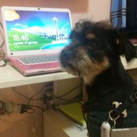 I nostri amici animali.. - 2