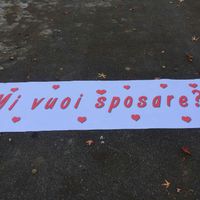 La vostra proposta di matrimonio - 1