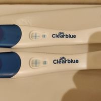 Chi non le aspetta per novembre 2019 - 1