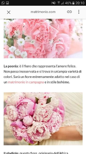 Cerco aiuto per idee sul colore dei fiori - 2
