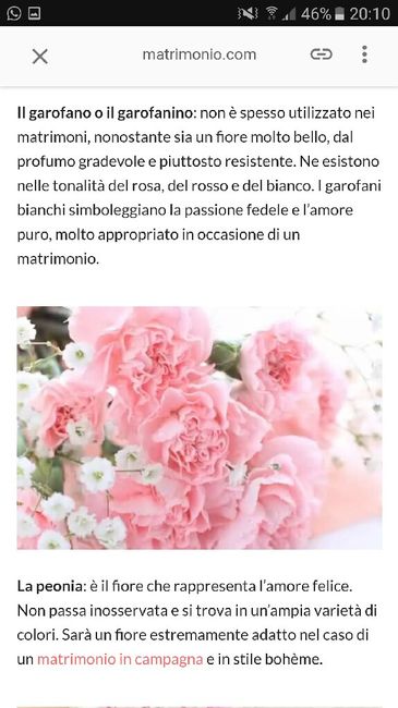 Cerco aiuto per idee sul colore dei fiori - 3