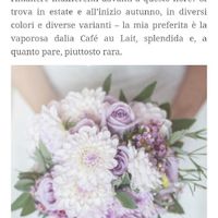 Cerco aiuto per idee sul colore dei fiori - 1
