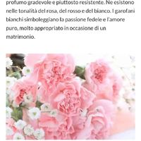 Cerco aiuto per idee sul colore dei fiori - 3