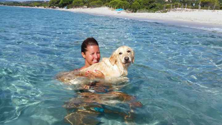 I nostri amici a 4 zampe - 2